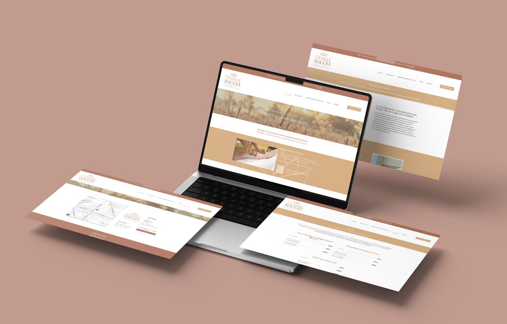 creation-site-web-institut-renata-franca-paris